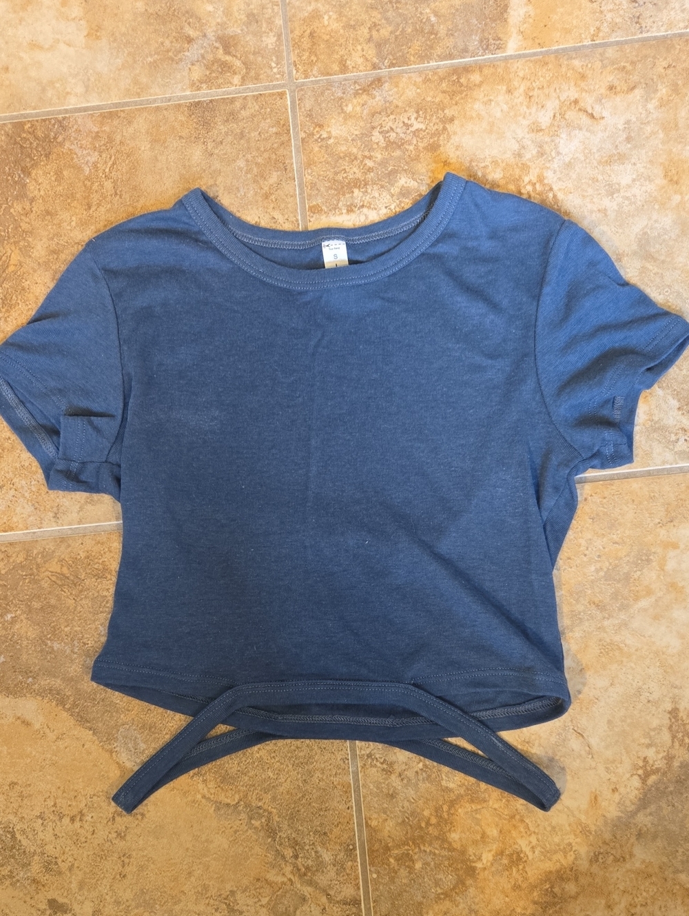 Alo Blue Crop Top